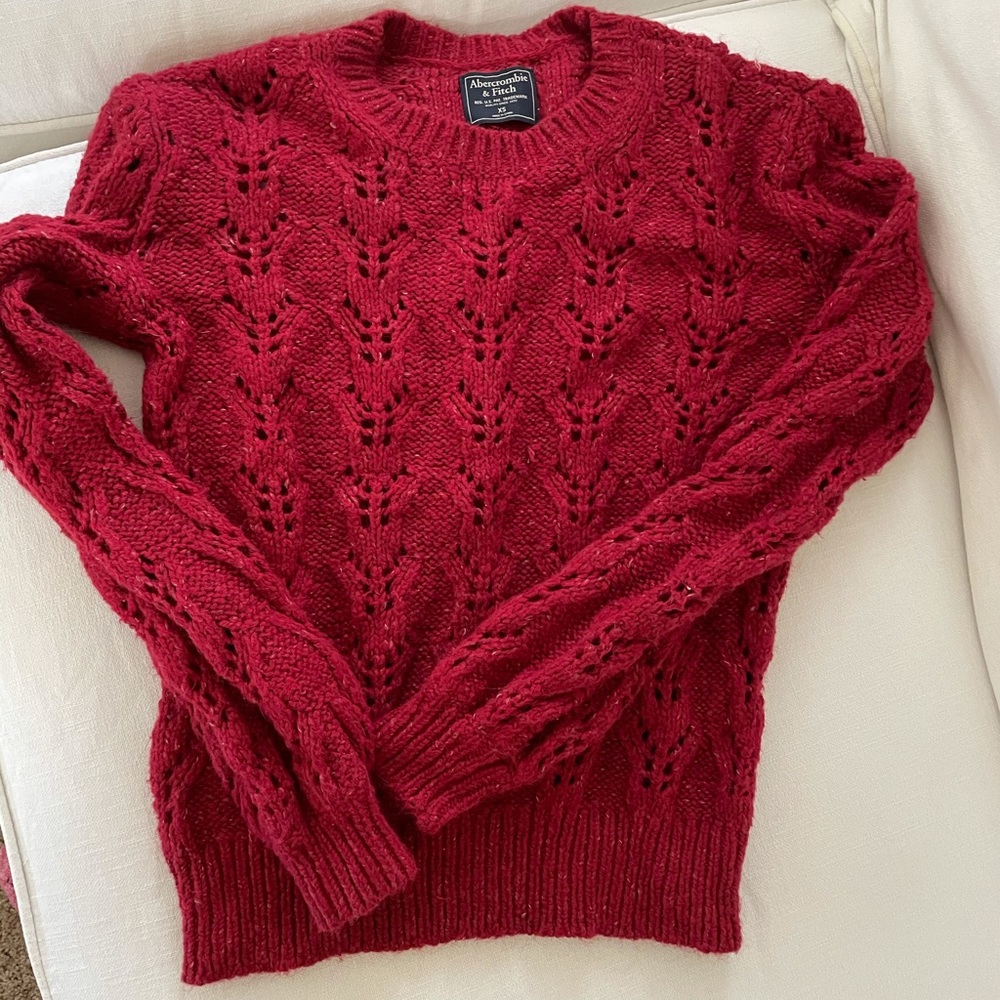 NEW Abercrombie and Fitch sweater